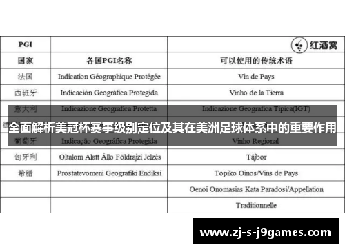 全面解析美冠杯赛事级别定位及其在美洲足球体系中的重要作用 全面解析美冠杯赛事级别定位及其在美洲足球体系中的重要作用